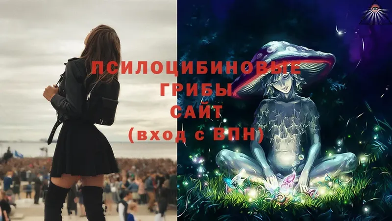 Галлюциногенные грибы Psilocybe  купить   kraken ссылки  Ангарск 